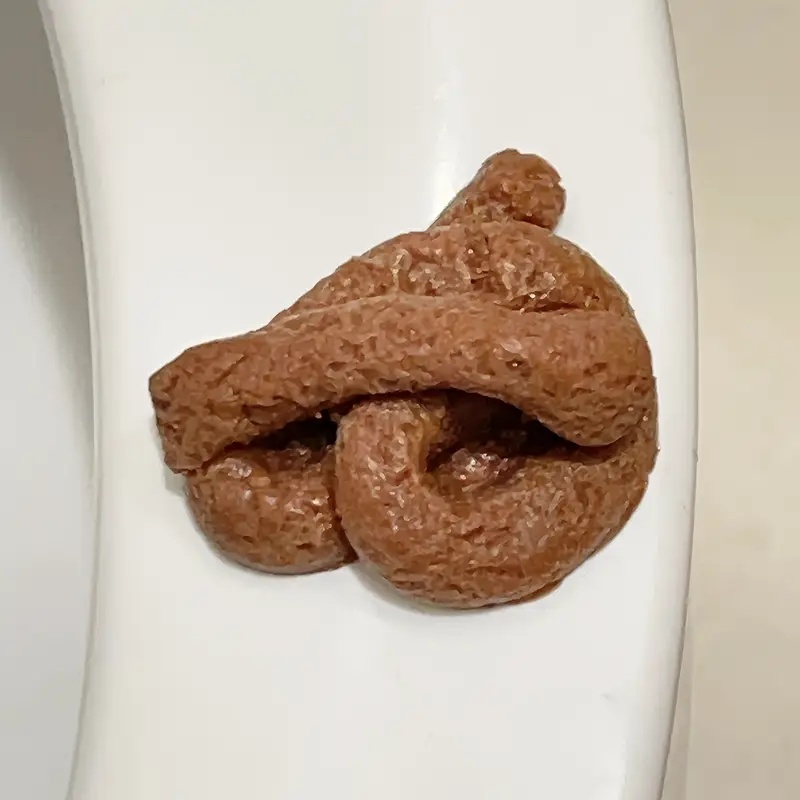 실제처럼 보이는 가짜 똥 장난감, 파티용 재미있는 장난 - Fake Poop Gag Gift 리뷰 및 가격